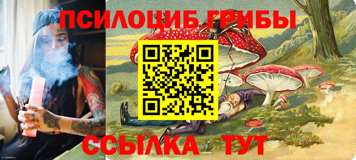 Нижний Новгород  Псилоцибиновые грибы Magic Shrooms  Вход с VPN  Псилоцибиновые грибы мицелий 